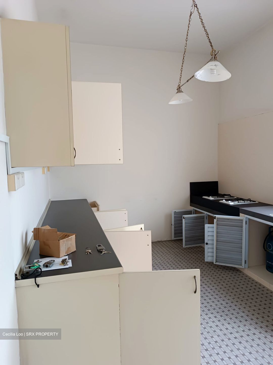 Joo Chiat Avenue (D15), Terrace #615882791